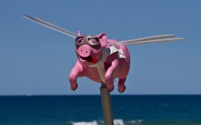 Flying Pigs