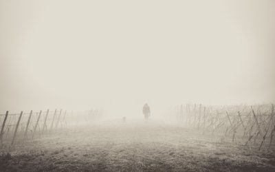 The Fog of (Marketing) Language