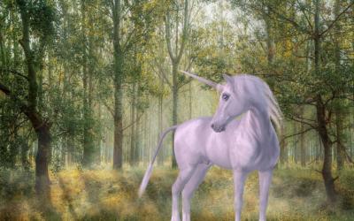 Unicorns, Honest Politicians, and Other Mythical Creatures